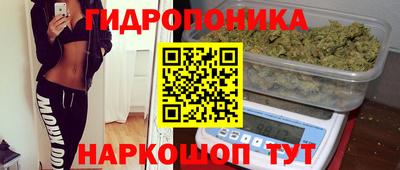 крисы Кандалакша