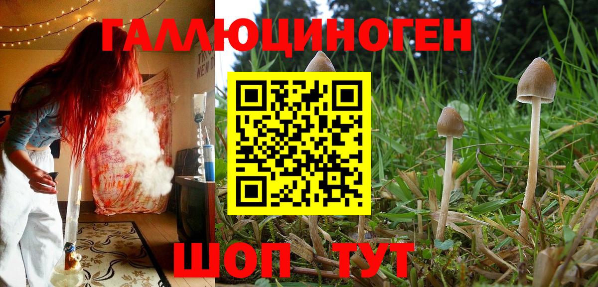 Галлюциногенные грибы мицелий  Вход с VPN  Краснодар 