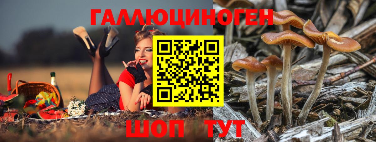 Псилоцибиновые грибы GOLDEN TEACHER Краснодар